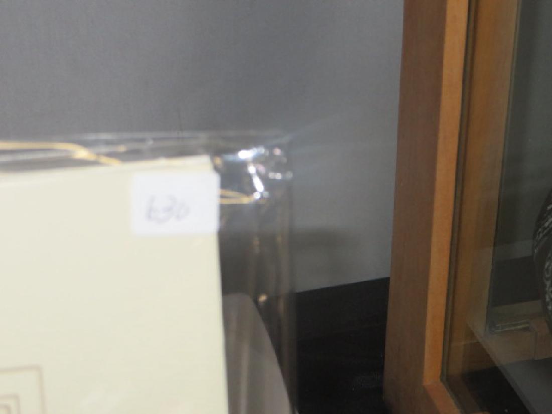 J.J. Audubon. Octavo. Townsends Oyster-Catcher No.326 (1 of 1)