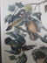 J.J. Audubon. Octavo. Wood Duck No.391