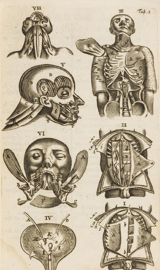 Anatomy.- Blasius (Gerard) Zootomiae seu anatomes (1 of 1)