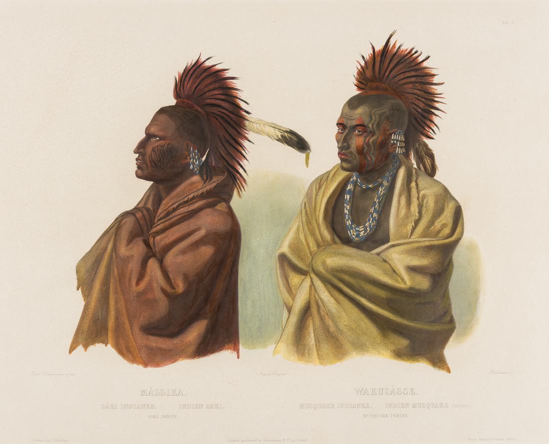 America.- Bodmer (Karl, 1809-1893) Massika (Saki (1 of 1)