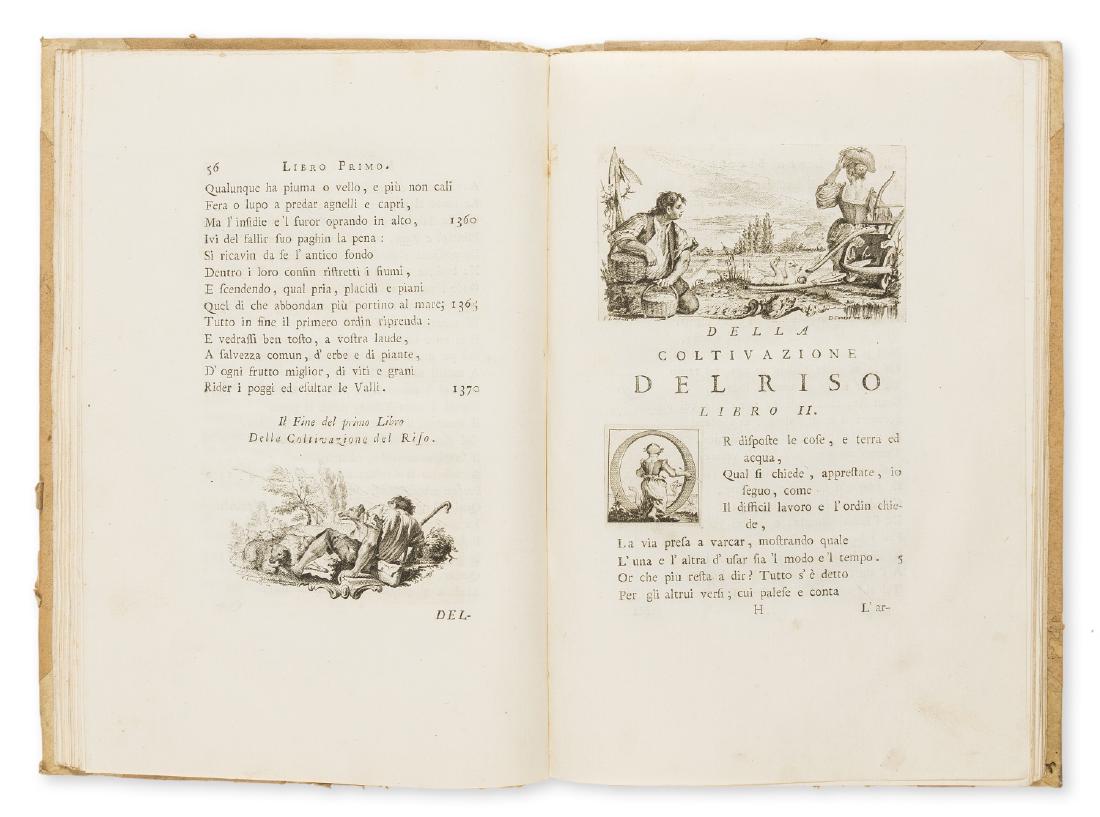 Rice.- Spolverini (Gian Battista) La Coltivazione del (1 of 1)