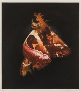 δ Mat Collishaw (b.1966) Insecticide: δ Mat Collishaw (b.1966)Insecticide Photogravure printed in colours, 2009, signed and numbered from the edition of 100 in pencil, on wove paper, with full margins, plate 455 x 395mm (17 7/8 x 15