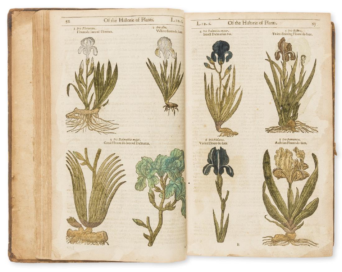 Herbal.- Gerard (John) The Herball or Generall Historie: Herbal.- Gerard (John) The Herball or Generall Historie of Plantes, edited by Thomas Johnson, third edition, engraved architectural title by Jo. Payne, numerous woodcut illustrations throughout, with