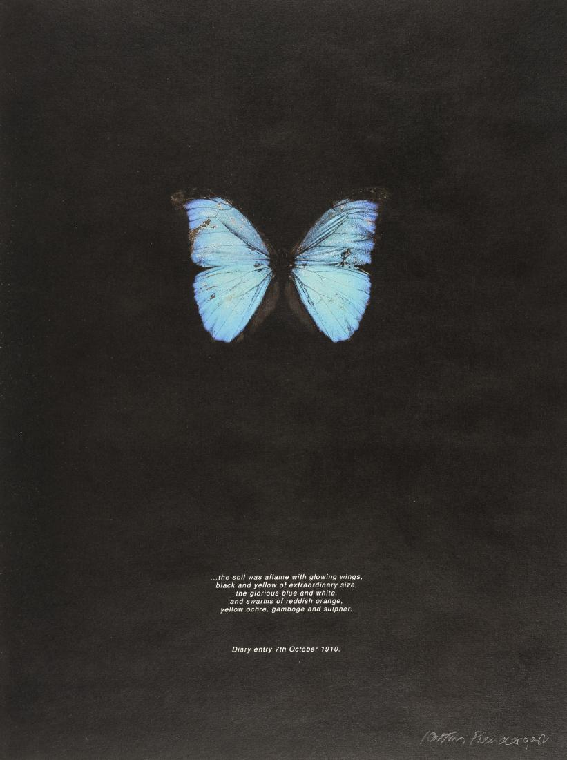 Stoney Road Press.- 16, number 23 of 150 copies,: Stoney Road Press.- 16, number 23 of 150 copies signed by the modern contributors, printed in blue and black, signed plates by Kathy Predergast, Michael Canning, Alice Maher and Brian O'Doherty, publi