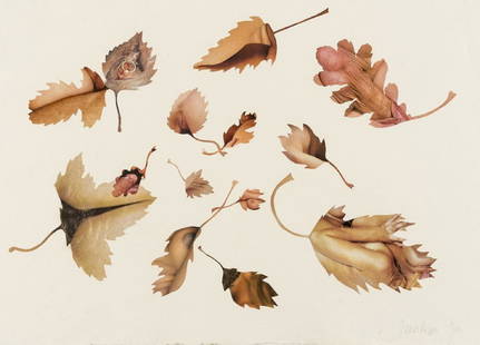 δ Jonathan Yeo (b.1970) Leaf Study: δ Jonathan Yeo (b.1970)Leaf StudyCollage on thick cream wove paper, 2009, signed in pencil, signed again and dated in pencil verso, the full sheet, 306 x 425mm (12 x 16 3/4in) (unframed)δ Th