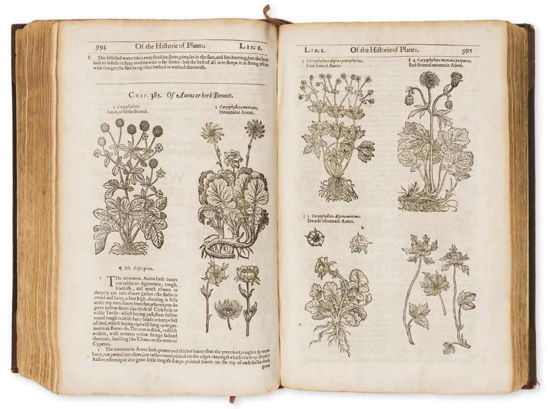 Herbal.- Gerard (John) The Herball or Generall Historie: Herbal.- Gerard (John) The Herball or Generall Historie of Plantes... very much enlarged and amended by Thomas Johnson, engraved architectural title with lower corner torn away, mounted, woodcut initi