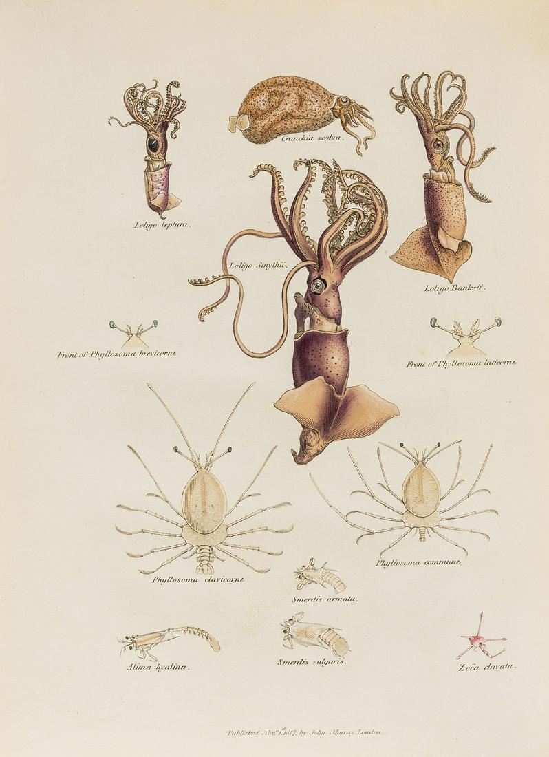 Africa.- Tuckey (Captain J. K.) Narrative of an (1 of 1)