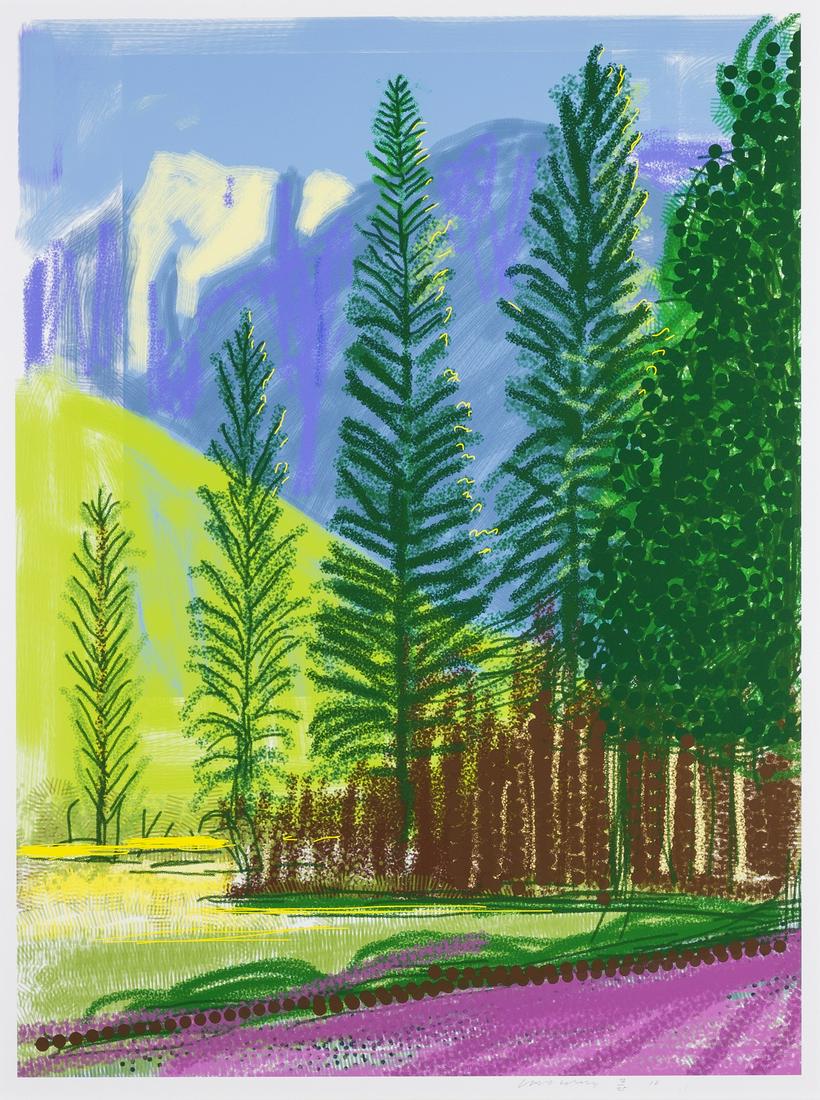 δ David Hockney (b.1937)  Untitled No.12 (1 of 1)
