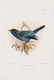 Oceania.- Brenchley (Julius L.) Jottings during the