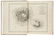 Pacific.- Tahiti.- Adams (Henry) Memoirs of Arii Taimai