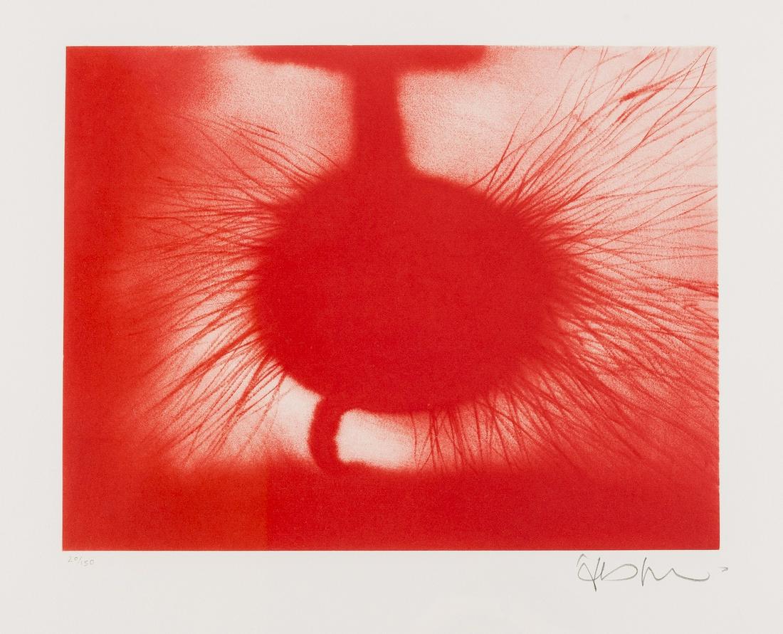 δ Anish Kapoor (b.1954)  Untitled (1 of 1)