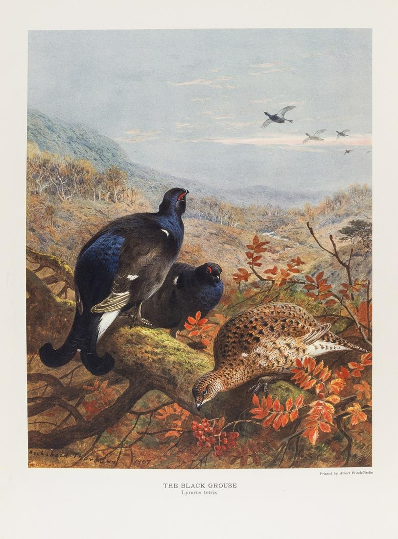 Birds.- Millais (John Guille) The Natural History of (1 of 1)