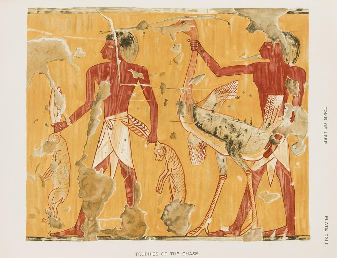 Egyptology.- Davies (Norman de Garis) The Rock Tombs of (1 of 1)