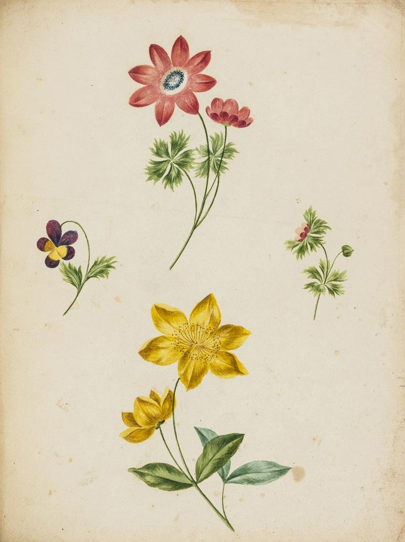 Brookshaw (George) A New Treatise on Flower: Brookshaw (George) A New Treatise on Flower Painting, or, Every Lady Her Own Drawing Master, hand-coloured stipple-engraved frontispiece, 8pp. of colour samples, engraved plate of exercises, 19 hand-c
