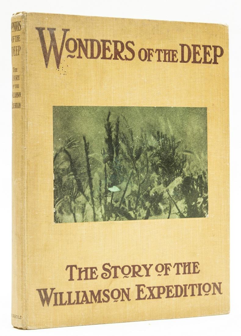 West Indies.- Bahamas.- Allemandy (Victor E.) Wonders (1 of 1)