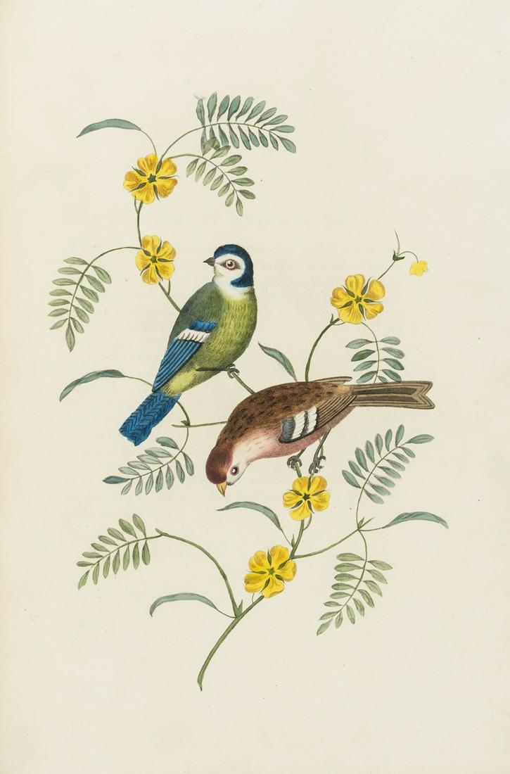Brookshaw (George) Groups of Flowers, second edition,: Brookshaw (George) Groups of Flowers, 1819; Groups of Fruits, 1819; Six Birds, 1819, together 3 vol.in 1, second editions, half-titles, each with 6 stipple-engraved plates in both hand-coloured and un