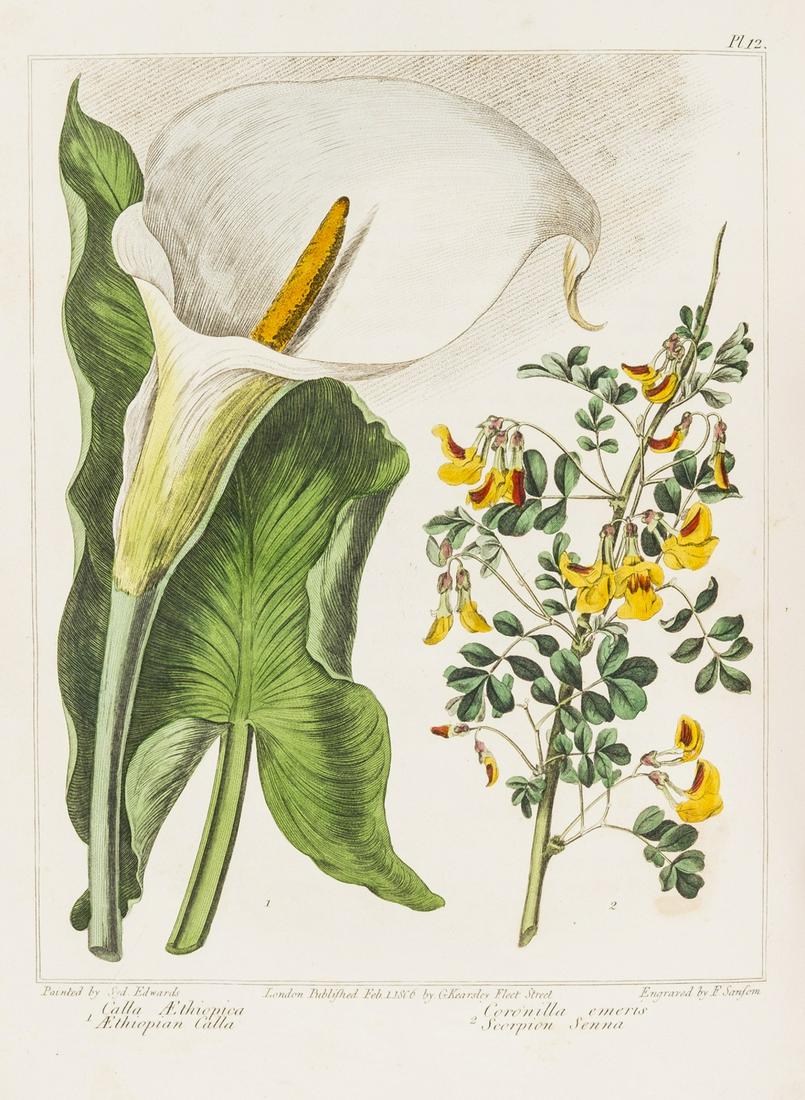 Edwards (Sydenham Teak) The New Flora Britannica, 2 (1 of 1)