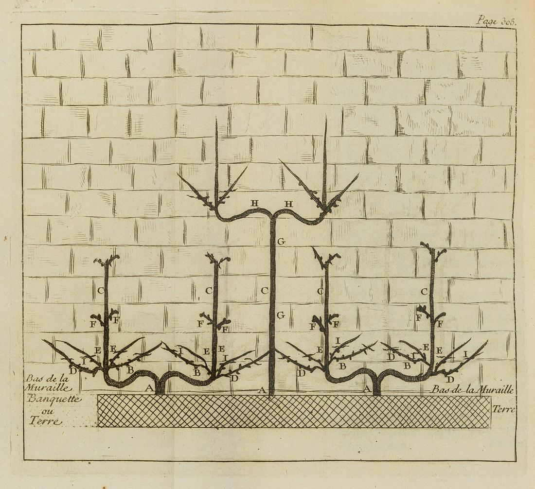 Horticulture.- La Rivière & Du Moulin (Sieurs de) Méthode pour bien cultiver les arbres a (1 of 1)