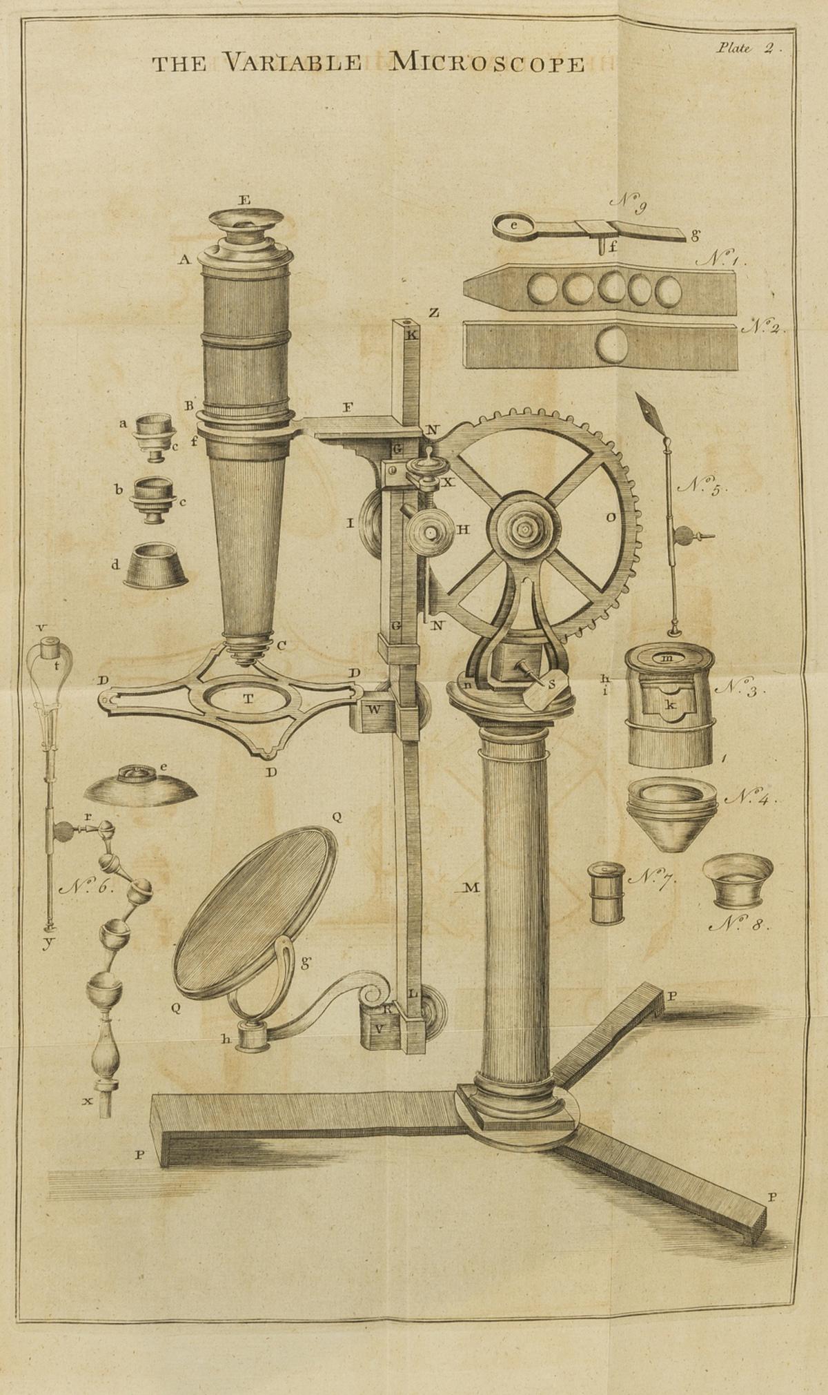 Botany.- Hill (John) The Construction of Timber, from its Early Growth..., first 8vo edition, 1770.: Botany.- Hill (John) The Construction of Timber, from its Early Growth; Explained by the Microscope, first octavo edition, 46 engraved plates (numbered 1-43, with an additional unlisted plate 33 and a
