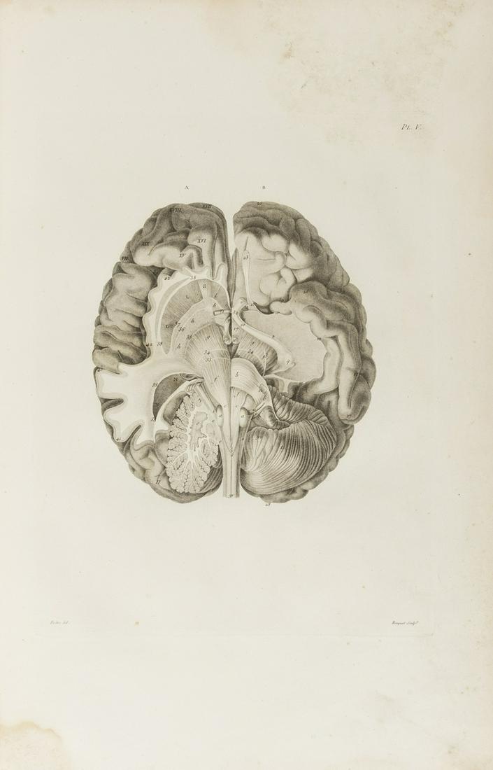 Gall (Franz Joseph) & Johann Caspar Spurzheim., Anatomie et Physiologie du Systeme Nerveux..., 5 (1 of 1)