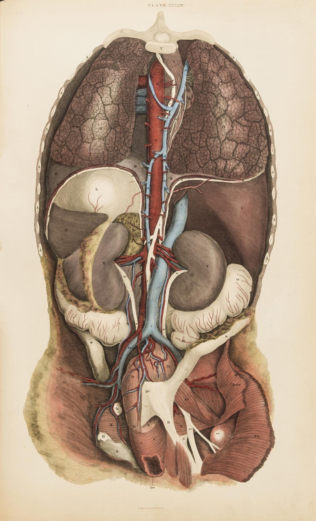 Lizars (John) A System of Anatomical Plates of the Human Body, 103 hand-coloured engraved plates, (1 of 1)
