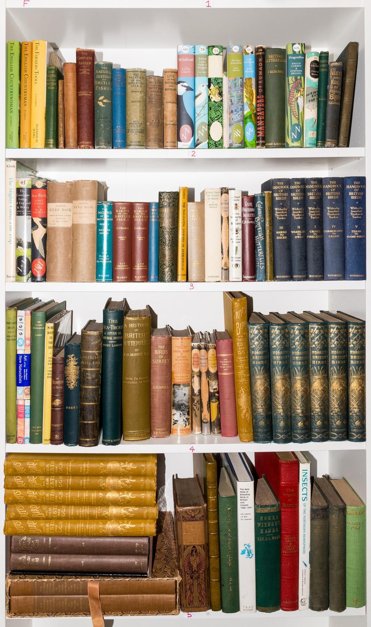 Morris (Rev. Francis Orpen) A History of British Birds, 6 vol., second edition, 1870; and others (1 of 1)