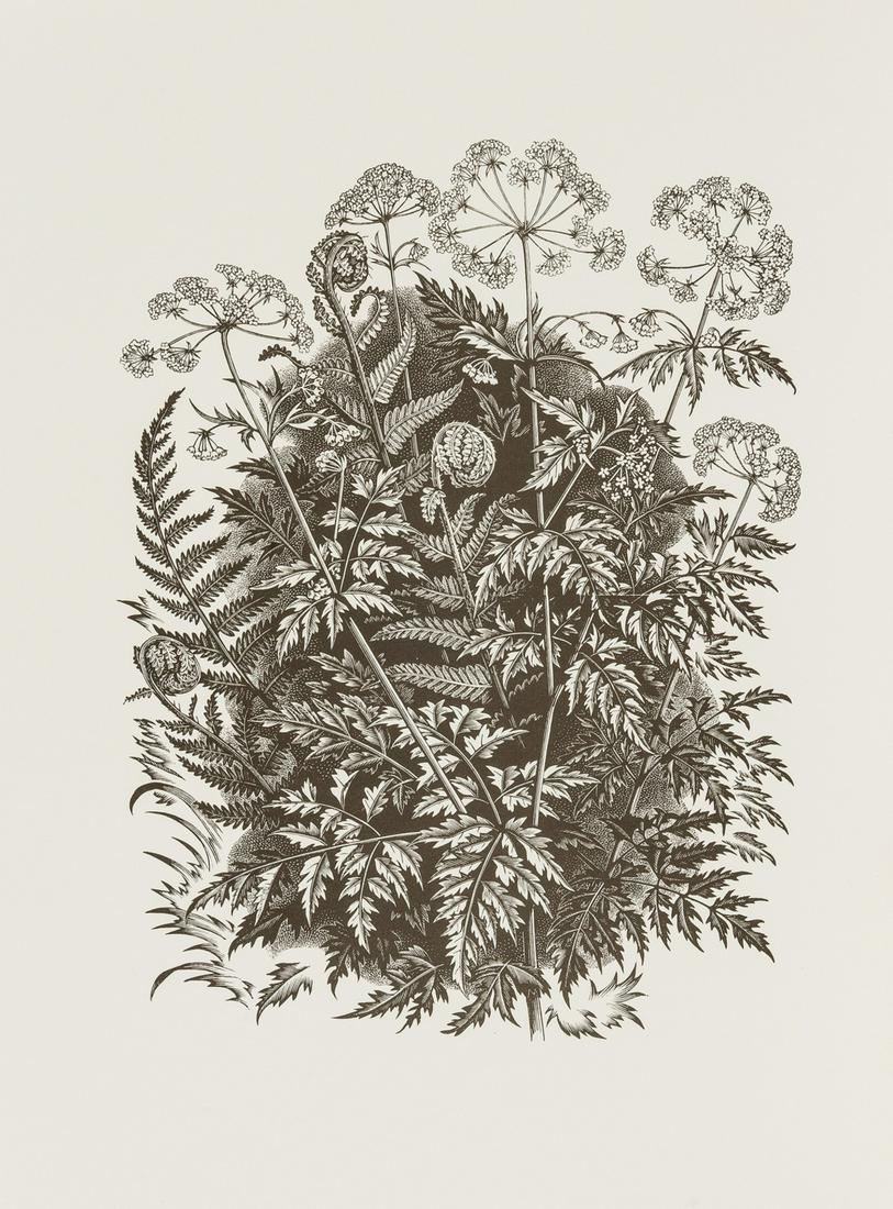 Mackley (George) [The George Mackley Collection], 3 vol., one of 250 sets signed by the (1 of 1)