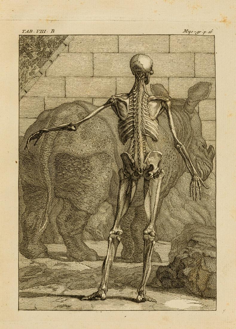 Anatomy.- Tarin (Pierre) Myo-Graphie ou Description des Muscles du Corps Humain, first edition, (1 of 1)