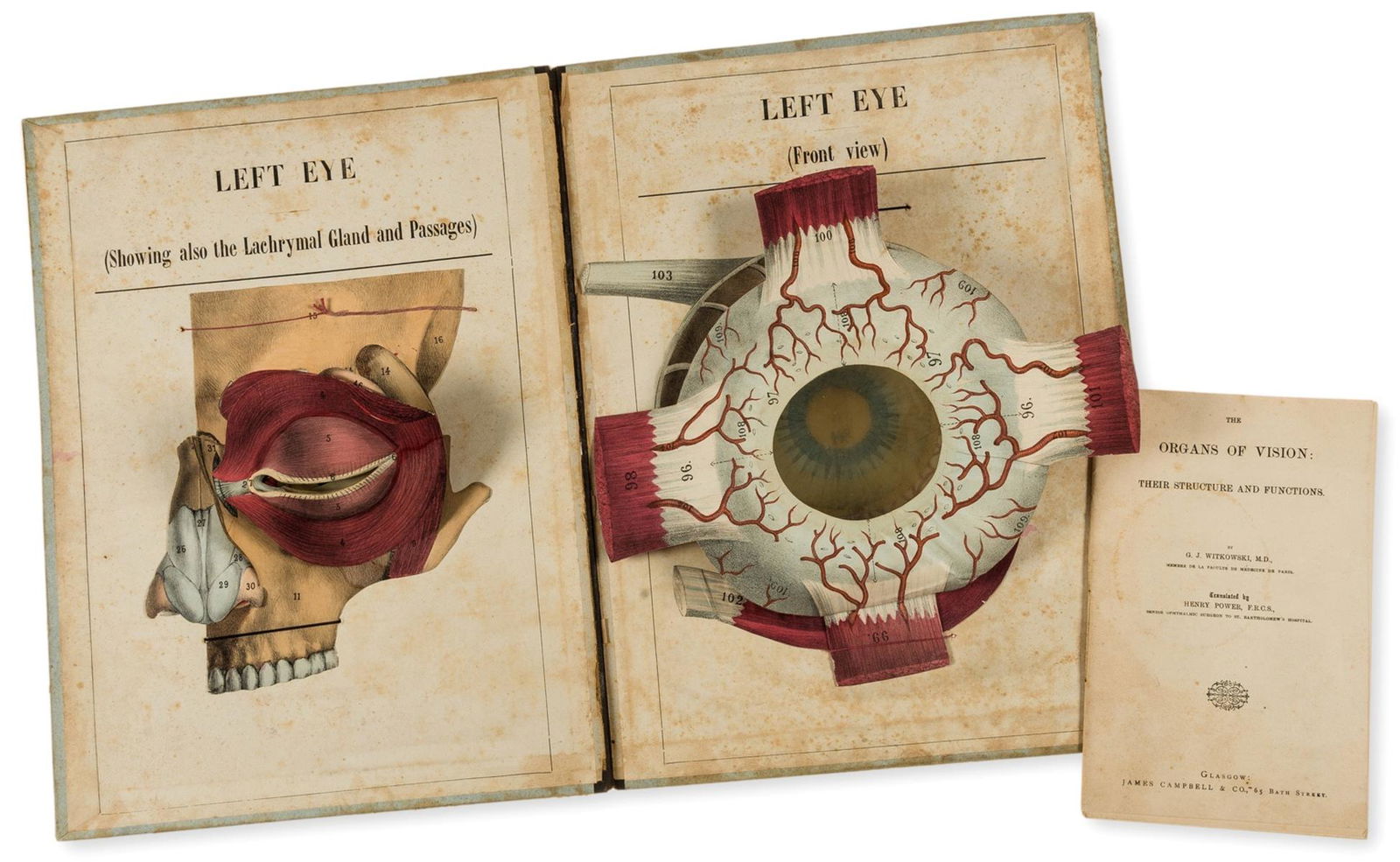 Anatomy.- Witkowski (G.J.) Human Anatomy and Physiology: A Movable Atlas..., 9 parts only of 11, (1 of 1)