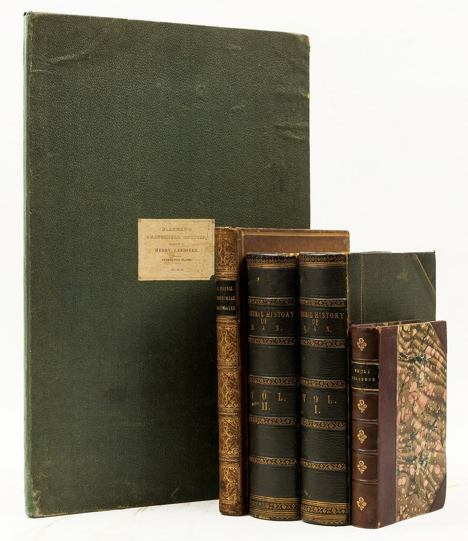 Flaxman (John) Anatomical Studies of the Bones and Muscles, for the use of artists, first edition, (1 of 1)