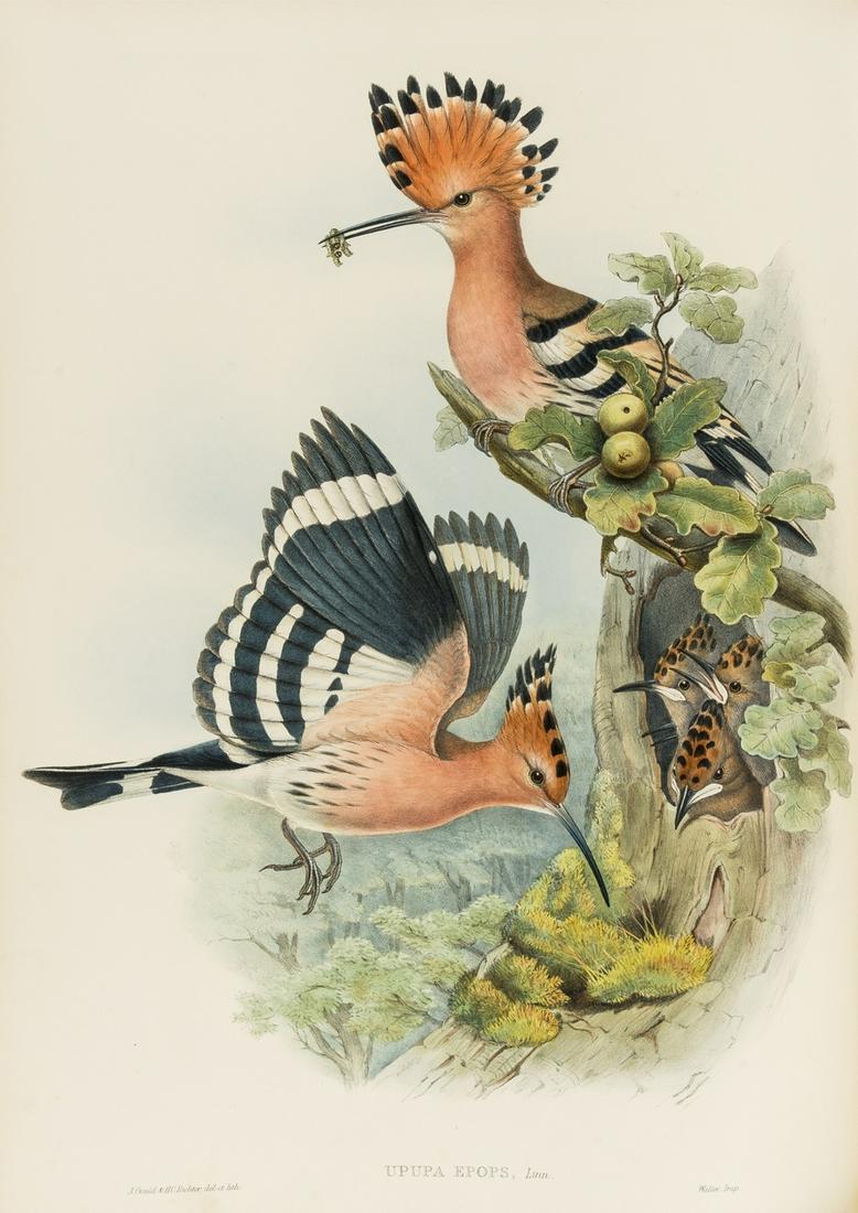 Gould (John) The Birds of Great Britain, 3 vol. (of 5), first edition, [1862-]1873.: Gould (John) The Birds of Great Britain, 3 vol. (of 5), first edition, 191 hand-coloured lithograph plates, most heightened with gum arabic, by Gould, H. C. Richter, Joseph Wolf and William Hart, book