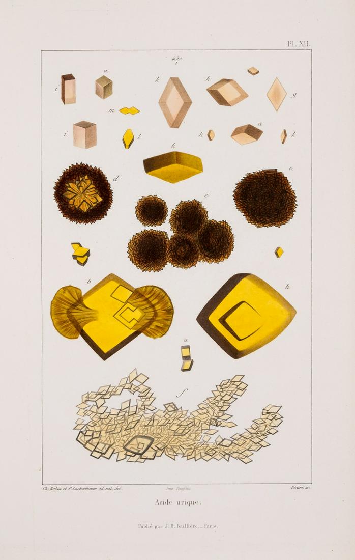 Robin (Charles) & F.Verdel. Traité de Chimie Anatomique et Physiologique Normale et (1 of 1)