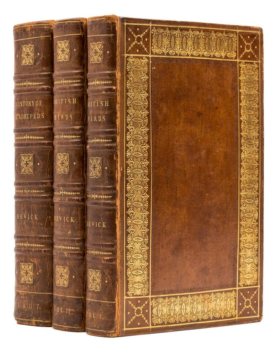 Bewick (Thomas) A History of British Birds, 2 vol., 1805; and A General History of Quadrupeds, (1 of 1)
