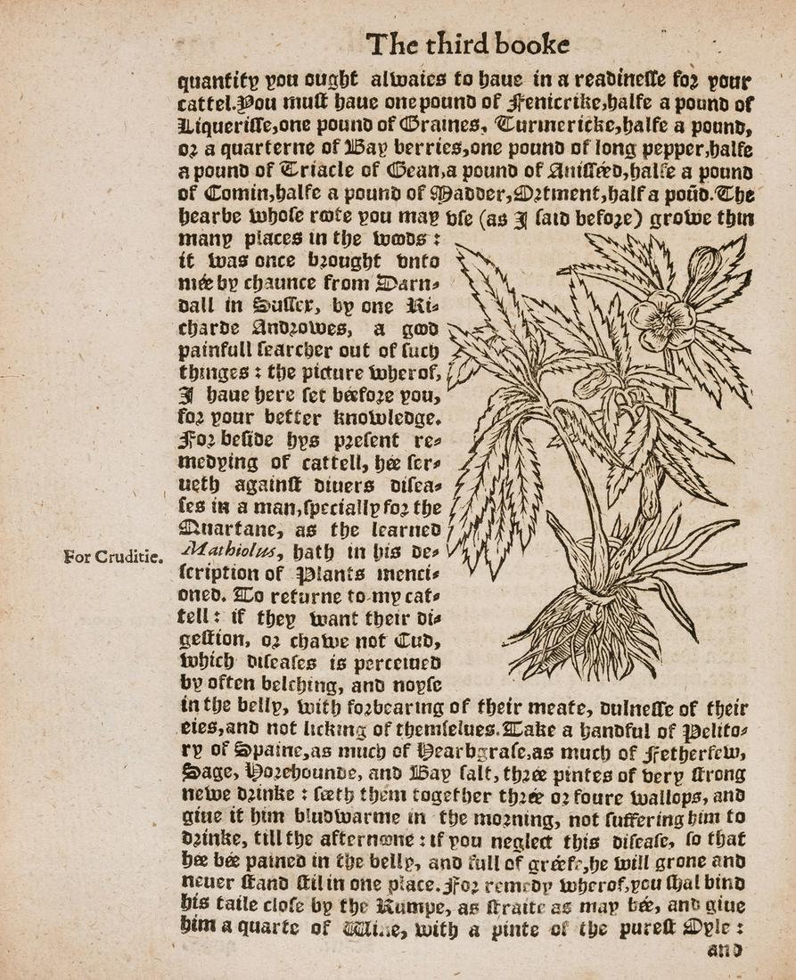 Bees.- Heresbach (Conrad) Foure Bookes of Husbandry, Printed for John Wright, 1578.: Bees.- Heresbach (Conrad) Foure Bookes of Husbandry, largely printed in black letter, woodcut decorations on title and with full-page woodcut arms to verso, woodcut initials and decorations, illustrat