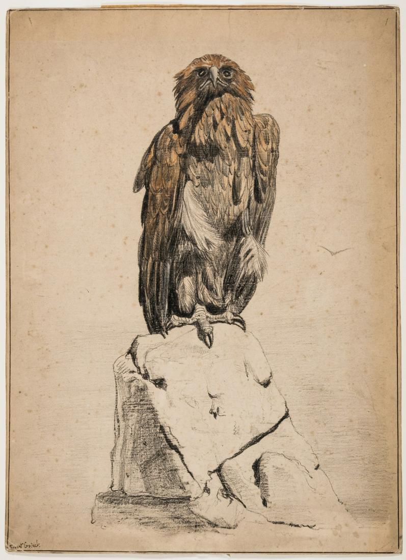 Birds.- Griset (Ernest Henri) Tawny Eagle sitting on rocky outcrop, black chalk and watercolour, (1 of 1)