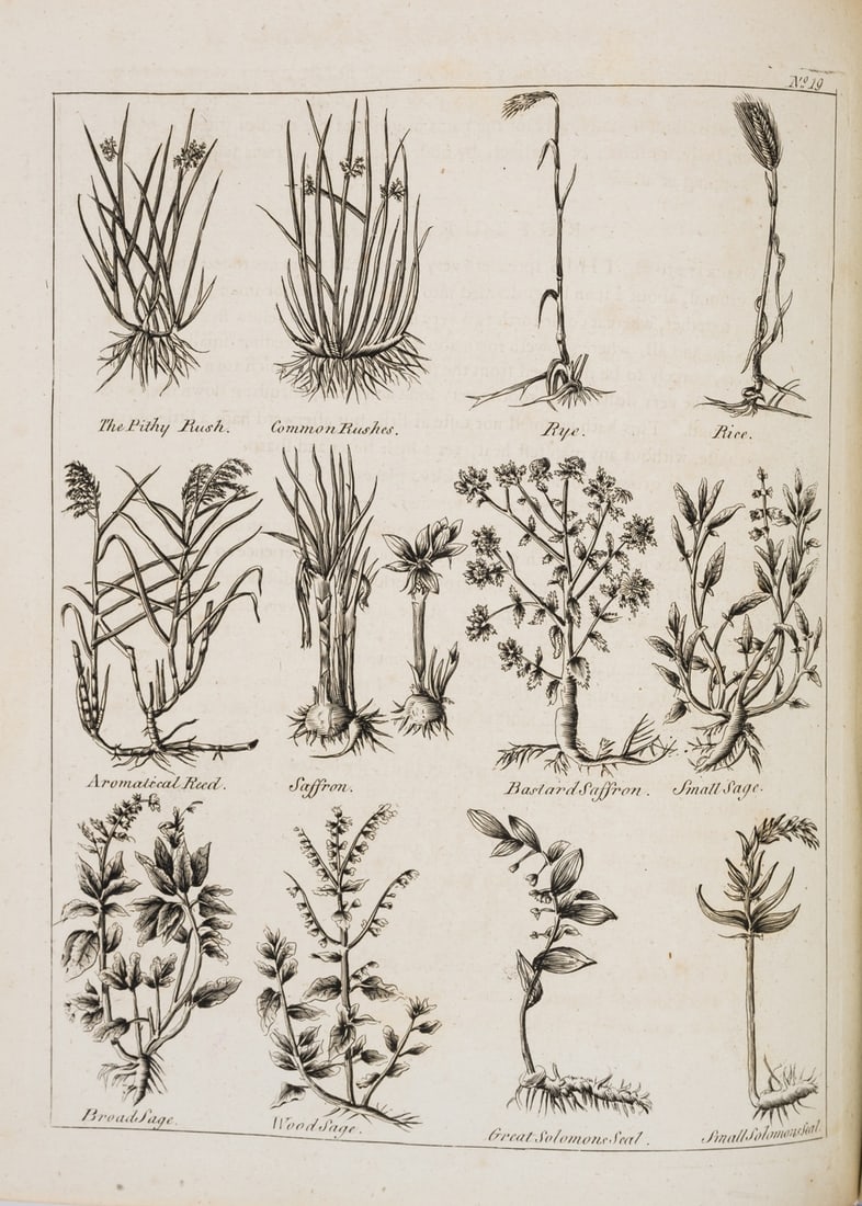 Culpeper (Nicholas) The English Physician; and Complete Herbal, for the author, 1794.: Culpeper (Nicholas) The English Physician; and Complete Herbal, engraved frontispiece and plates, occasional light spotting,contemporary half calf, rebacked & recornered, boards rubbed, hinges reinfor