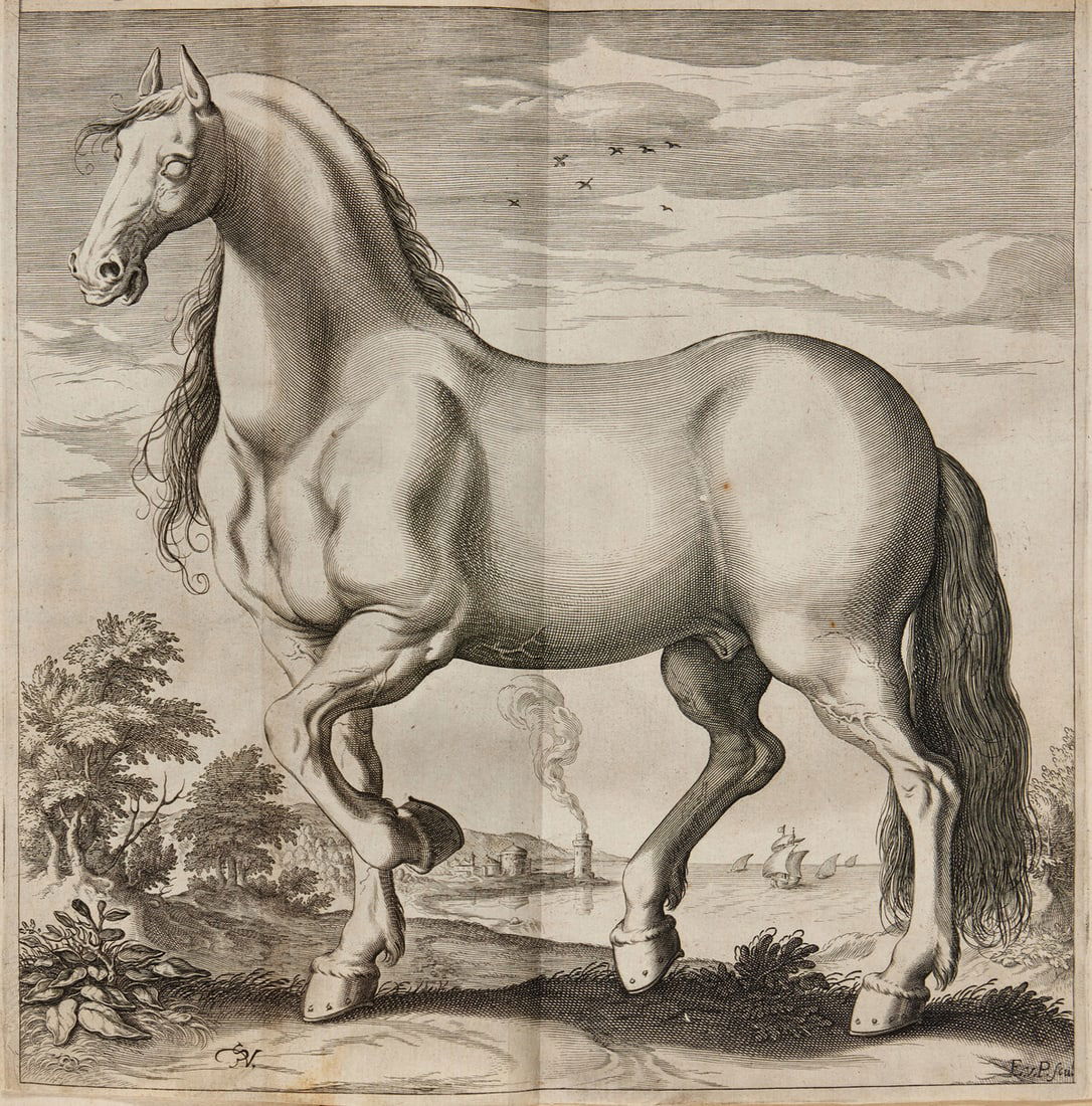 Horses.- Tacquet (Jean) Philippica ou Haras de cheuaux, Antwerp, R. Bruneau, 1614 (1 of 1)