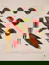 Birds.- Wytsman (P., editor) Genera Avium, 26 parts [all published], first edition, Brussels, V.