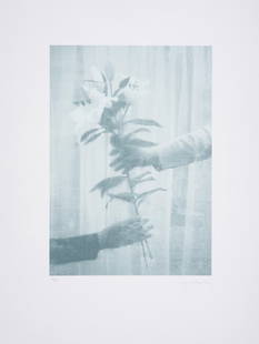 Paul Winstanley (b.1954) Lilies, from The Help Portfolio: Paul Winstanley (b.1954)Lilies, from The Help PortfolioScreenprint in colours, 2020, signed in pencil, numbered from the edition of 125, published by Jealous Gallery, London, on Somerset wove paper, w