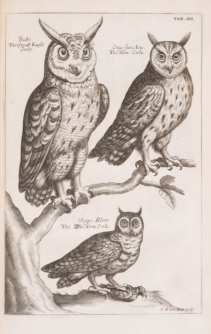 Birds.- Willughby (Francis) Ornithologiae Libri Tres, edited by John Ray, first edition, John (1 of 1)