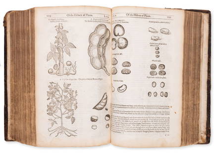 Gerard (John) The Herball or Generall Historie of Plants, second edition, Adam Islip, 1633.: Gerard (John) The Herball or Generall Historie of Plants, second edition, engraved title (small loss affecting imprint, laid down), wood engraved illustrations, w