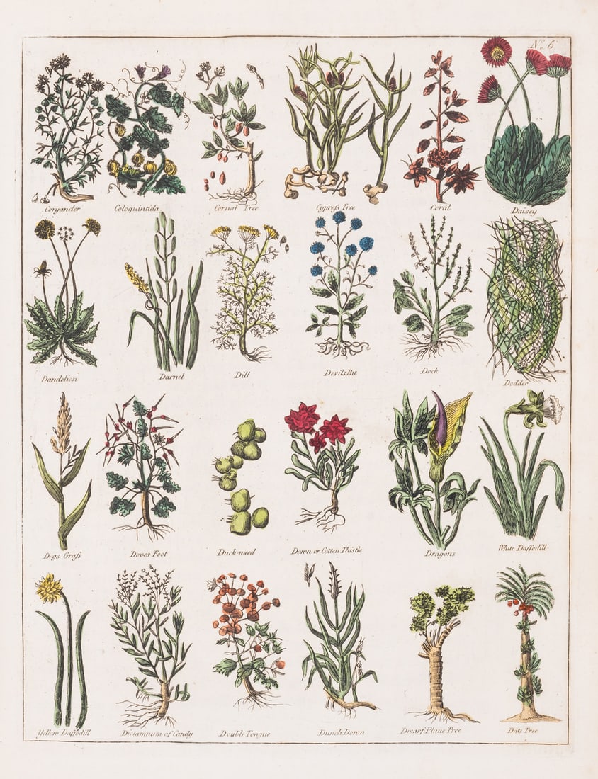 Botany.- Culpeper (Nicholas) Culpeper's English Physician and Complete Herbal, 2 vol., [1798].: Botany.- Culpeper (Nicholas) Culpeper's English Physician and Complete Herbal, 2 vol., engraved frontispieces and numerous hand-coloured plates, 3N1