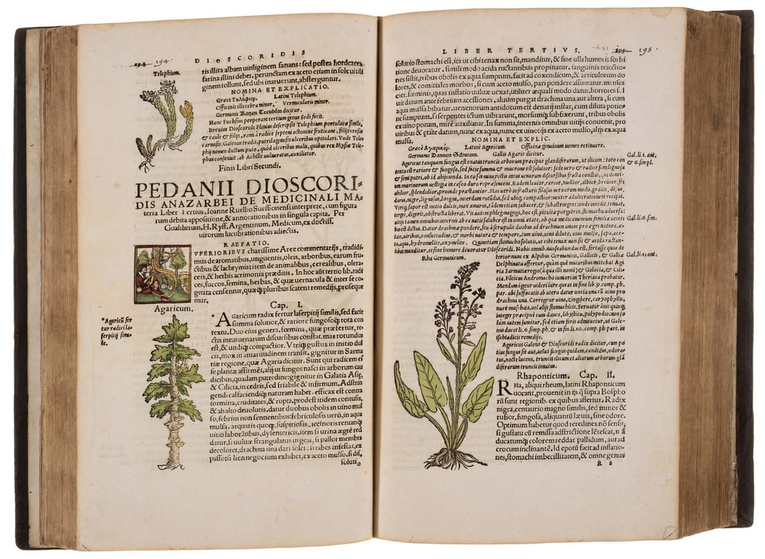 Botany.- Dioscorides (Pedanius) De medicinali materia libri sex, hand-coloured throughout, (1 of 1)