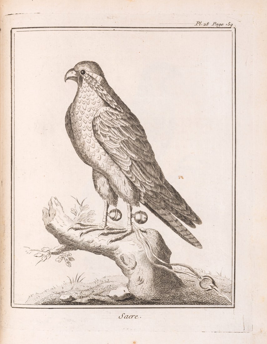 Falconry.- [Goury de Champgrand (Charles Jean)] Traité de vénerie, et de chasses, 2 parts in 1, (1 of 1)