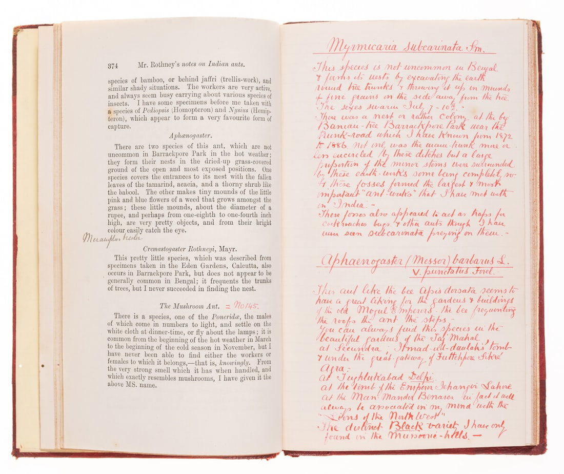 India.- Insects, Indian ants & bees.- Rothney (George Alexander James) Notes on Indian ants,: India.- Insects, Indian ants & bees.- Rothney (George Alexander James) Notes on Indian ants, the author's