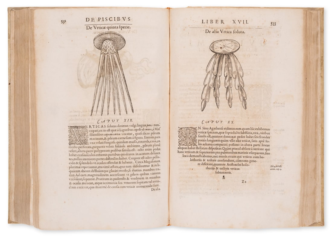 Aquatic life.- Rondelet (Guillaume) Libri de piscibus marinis, first edition, Lyon, Macé Bonhomme, (1 of 2)