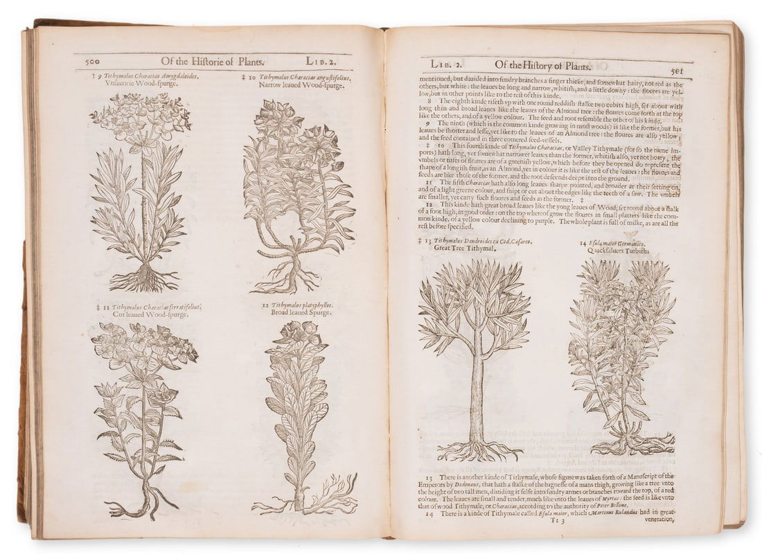 Herbal.- Gerard (John) The Herball or Generall Historie of Plants, second edition, Adam Islip, Joice (1 of 3)
