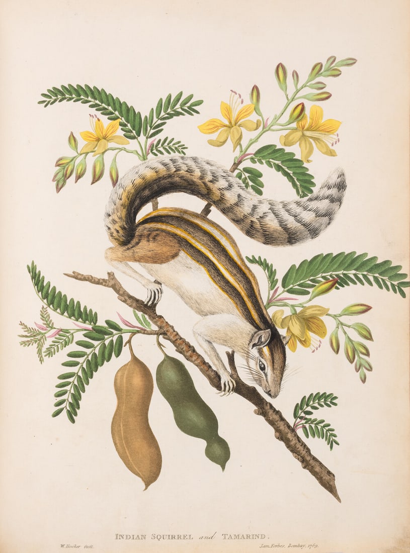 Forbes (James) Oriental Memoirs, 4 vol., engraved or lithographed plates, some hand-coloured, 1813: Forbes (James) Oriental Memoirs, 4 vol., first edition,