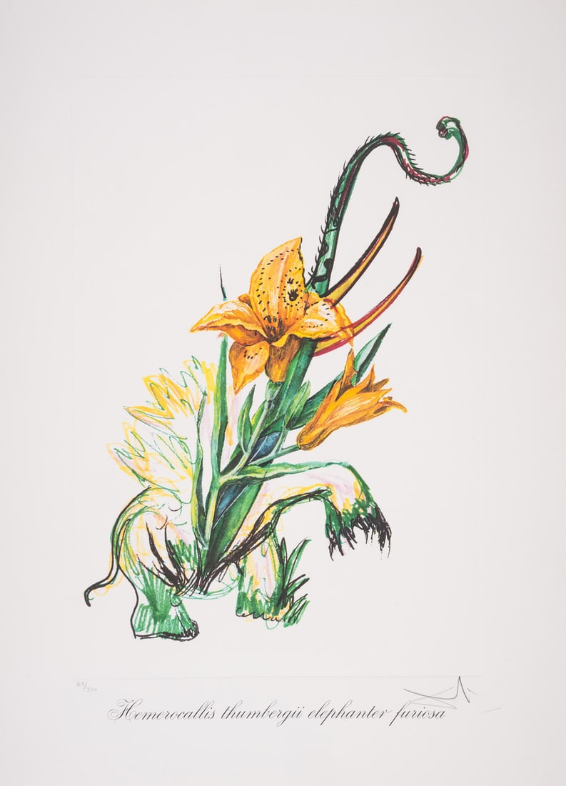 Salvador Dalí (1904-1989) Hemerocallis thumbergii elephanter furiosa, from Surrealistic Flowers