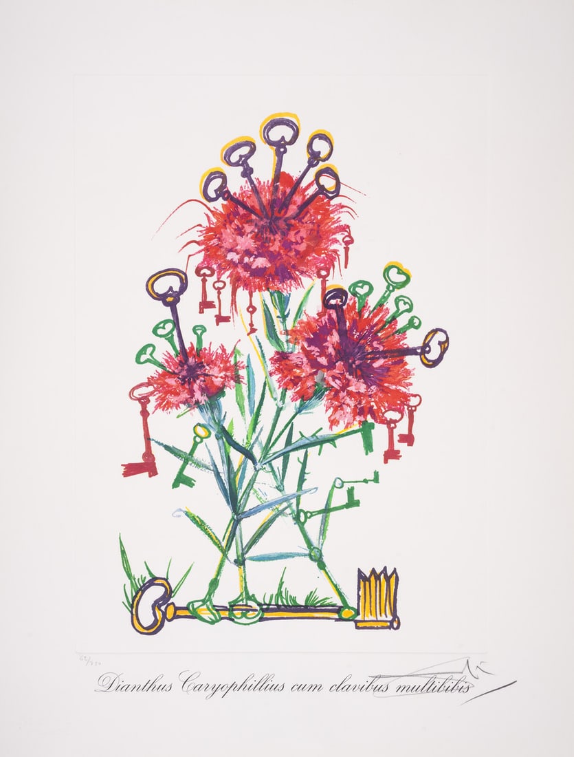 Salvador Dalí (1904-1989) Dianthus carophillius cum clavinibus multibibis, from Surrealistic